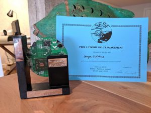 ESFS Award - Best Internet Publication